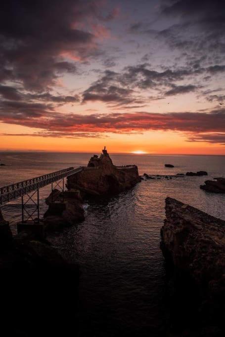 Magnifique T3 - Grande Plage Biarritz Ngoại thất bức ảnh