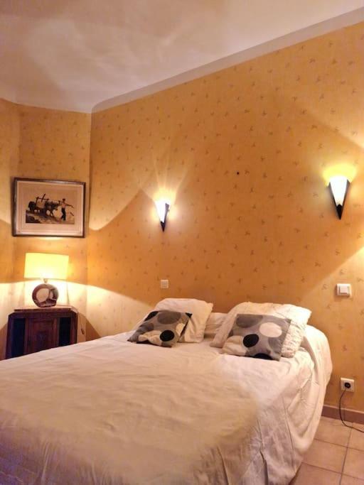 Magnifique T3 - Grande Plage Biarritz Ngoại thất bức ảnh